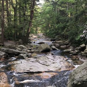 Meet your Posher, Brent